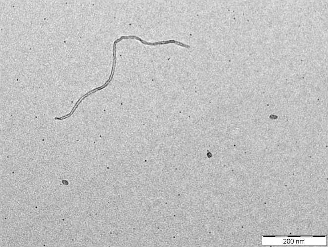 Transmission electron microscope image of A3CNT in Table 2.