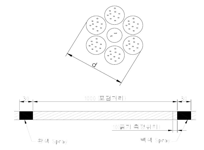 와이어 로프