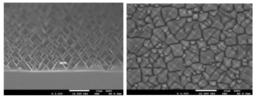 단결정 태양전지의 표면 텍스처링