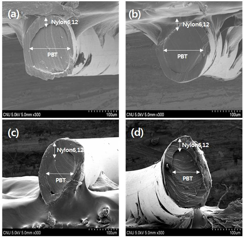 SEM images of (a) PN7030, (b) PN6040, (c) PN5050 and (d) PN4060.