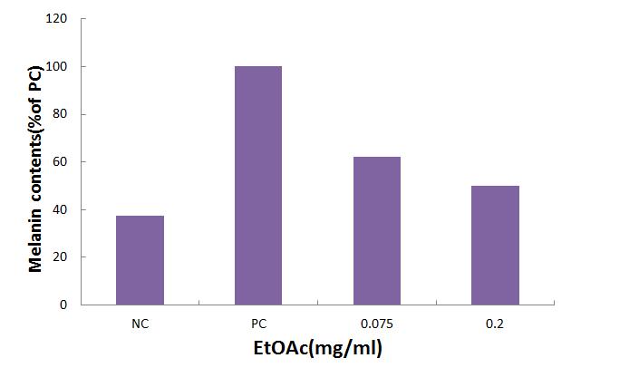 Inhibitory effect of abalone extract on melanin production in B16F10 melanoma cells. After the treatment of samples for 48 h, melanin contents were measured at 400 nm.