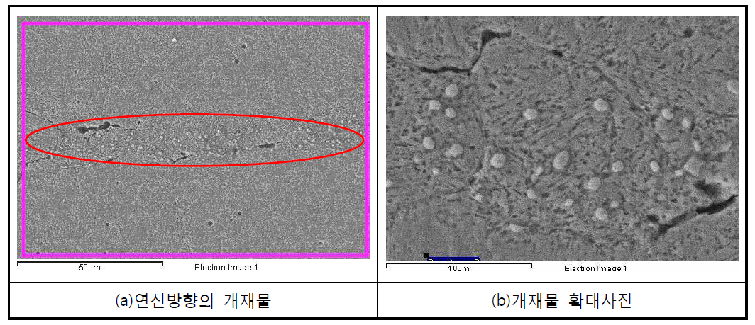 열처리 후 제품의 개재물