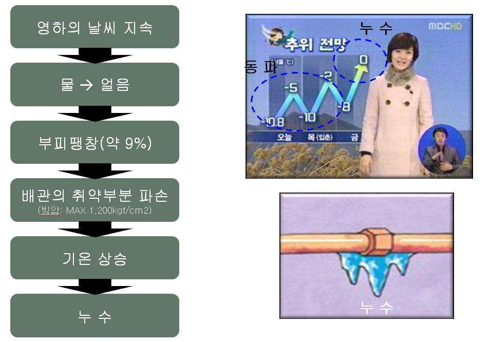 동파의 진행 과정