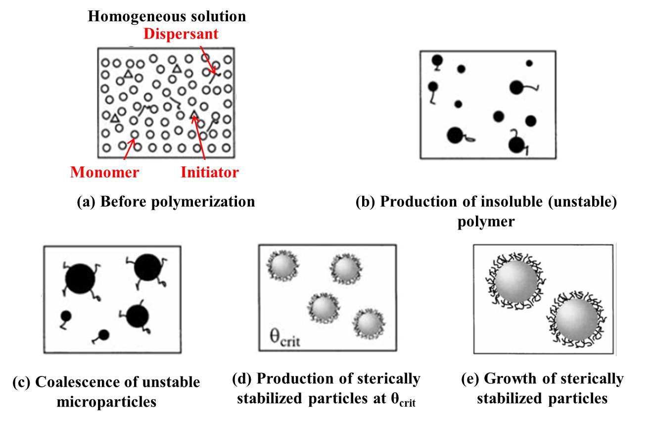 Dispersion polymerization process.