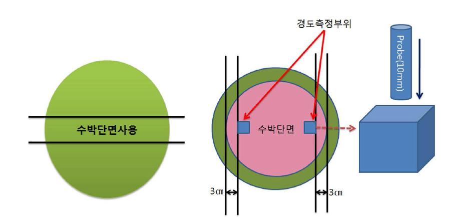 수박의 과육 경도 측정