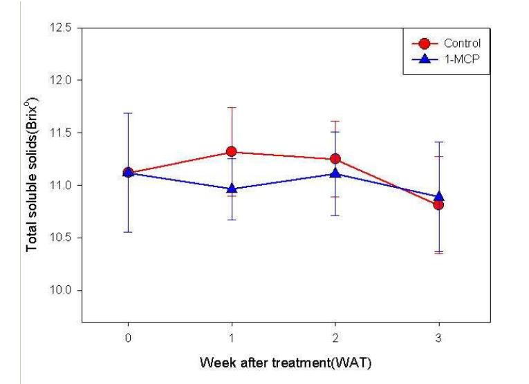 수박의 1-MCP 처리구(3ppm)와 무처리구의 저장 중 당도 변화