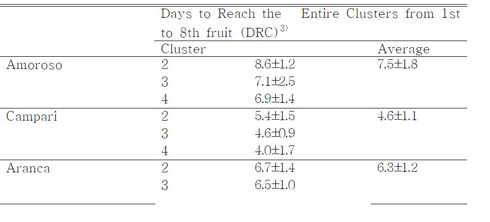 송이토마토 품종별 클러스터의 착색정도