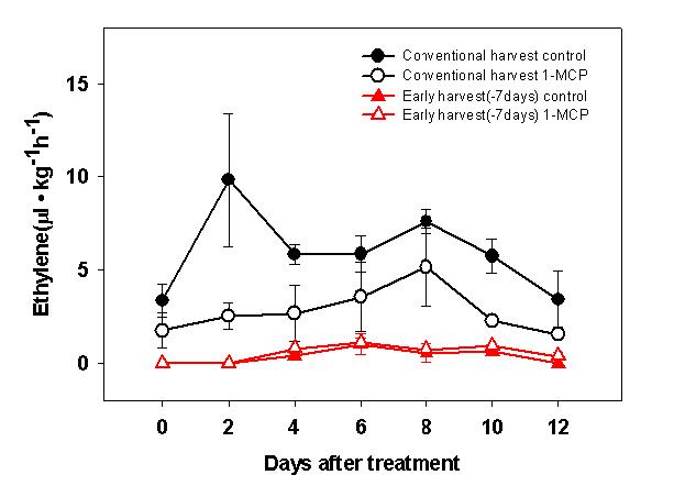 멜론의 1-MCP 처리구(1ppm)와 무처리구의 에틸렌 양상