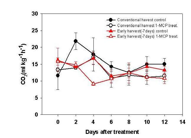 멜론의 1-MCP 처리구(1ppm)와 무처리구의 저장 중 호흡 양상