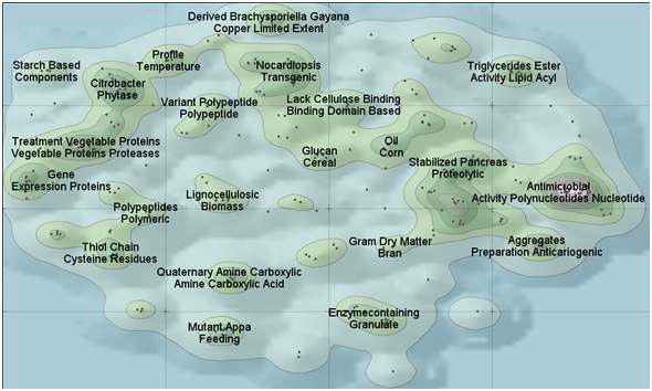 Patent map of feed additives using enzyme