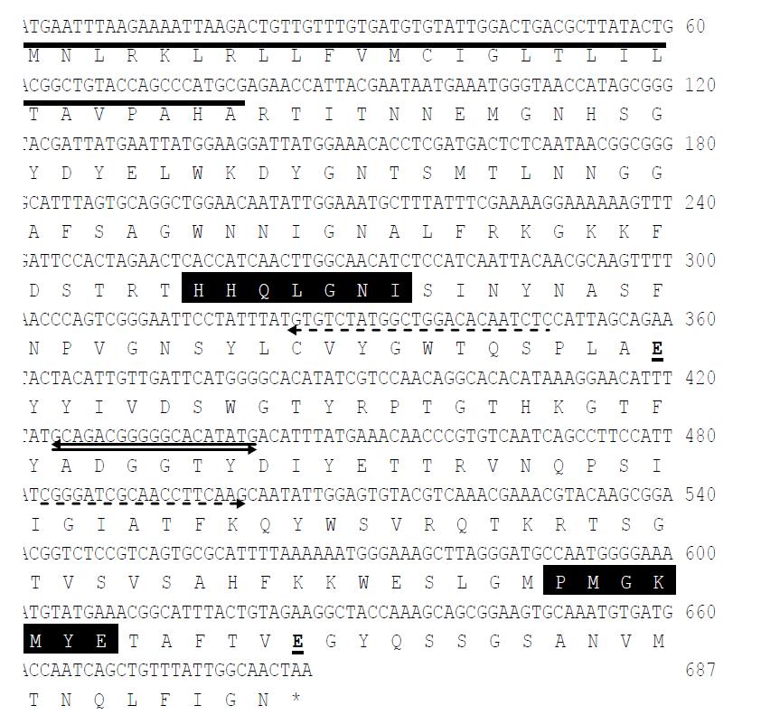 Nucleotide sequence of the gene encoding xylanase(XylC) from Paenibacillus sp. HY-22