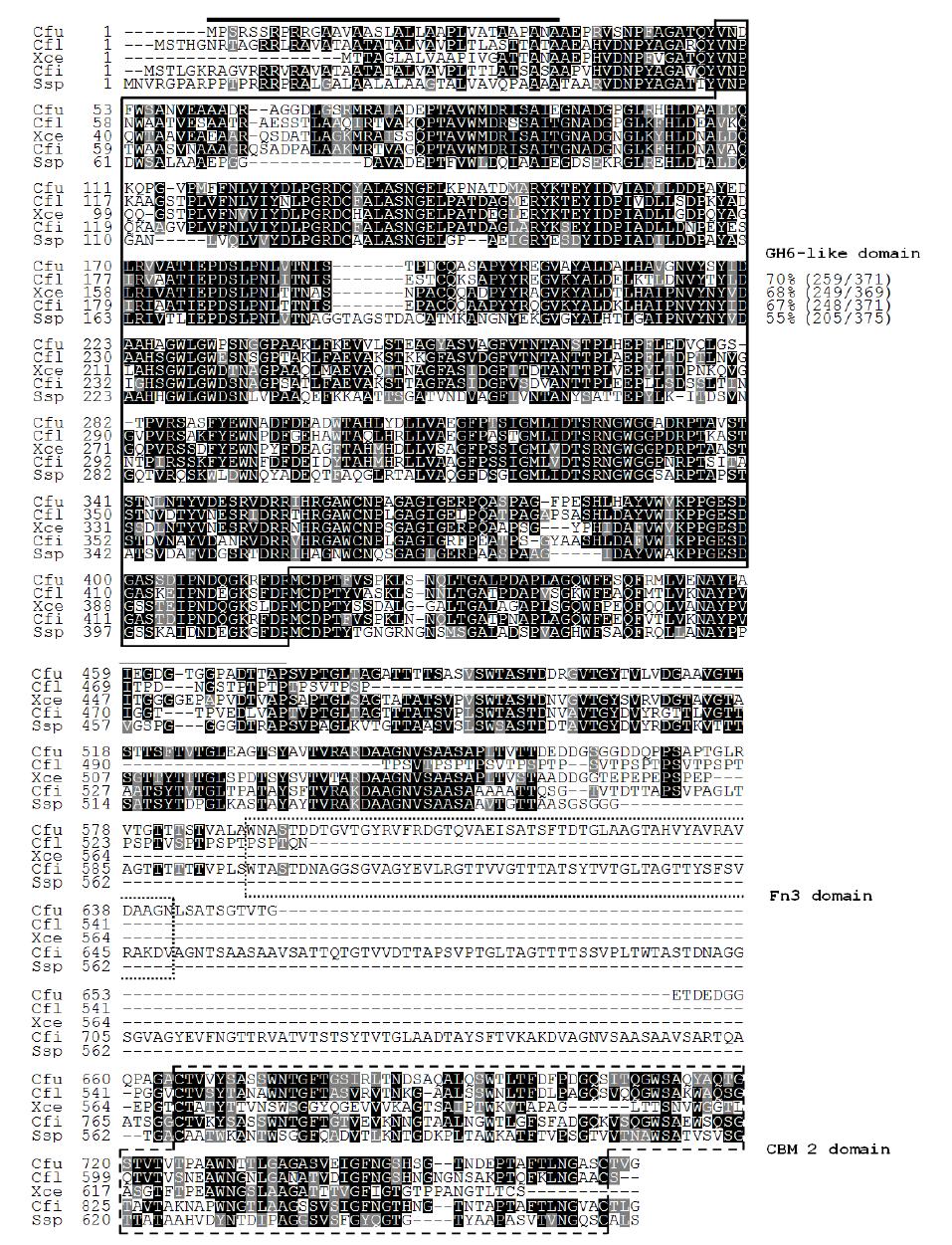 Alignment of the deduced amino acid sequence of β-1,4-xylanase from Cellulosi- microbium sp. strain HY-13 with those of other structurally related GH6 enzymes.