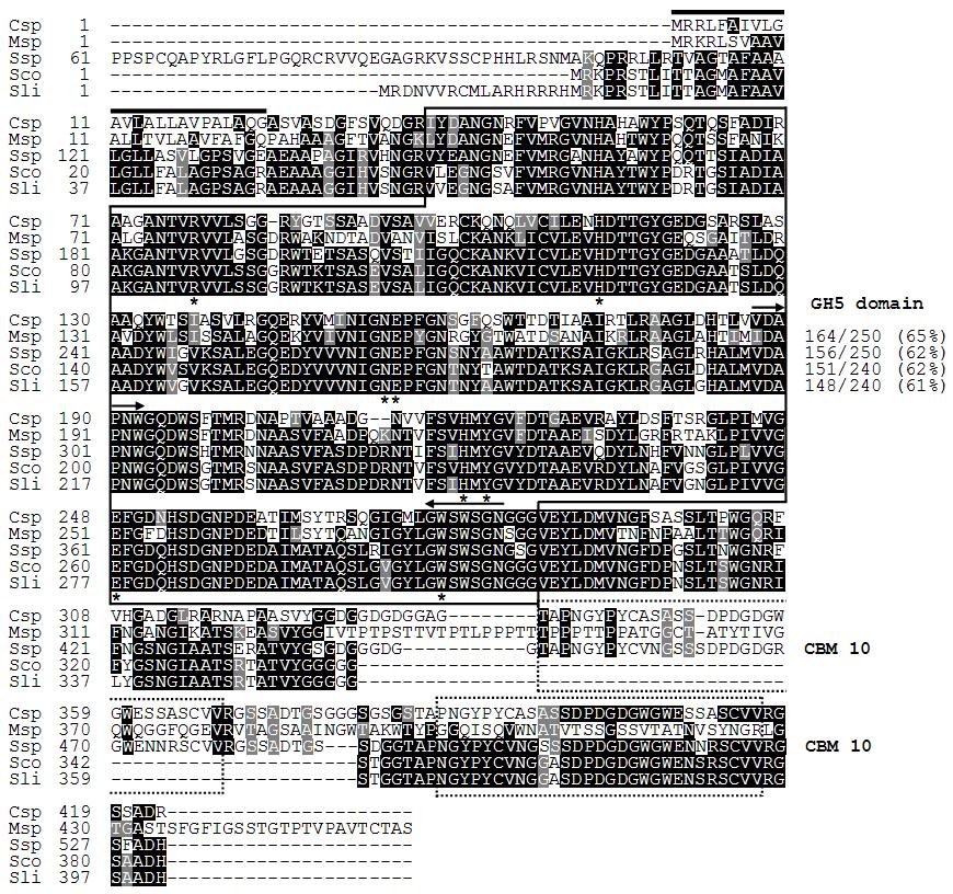 Alignment of the deduced amino acid sequence of GH5 β-1,4-mannanase and cellulose binding module 10 (CBM 10) domain from Cellulosimicrobium sp. strain HY-13.