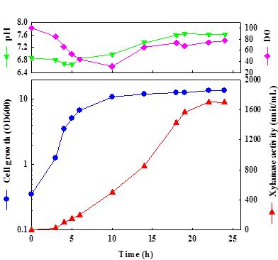 Time profiles of cell growth and xylanase activity by batch fermentation from B. subtilis pHYJ-XylC.