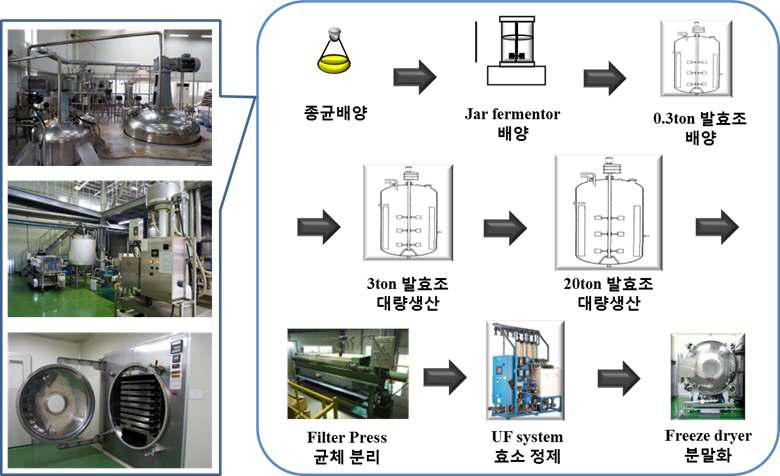 Process flow of large-scale enzyme production.