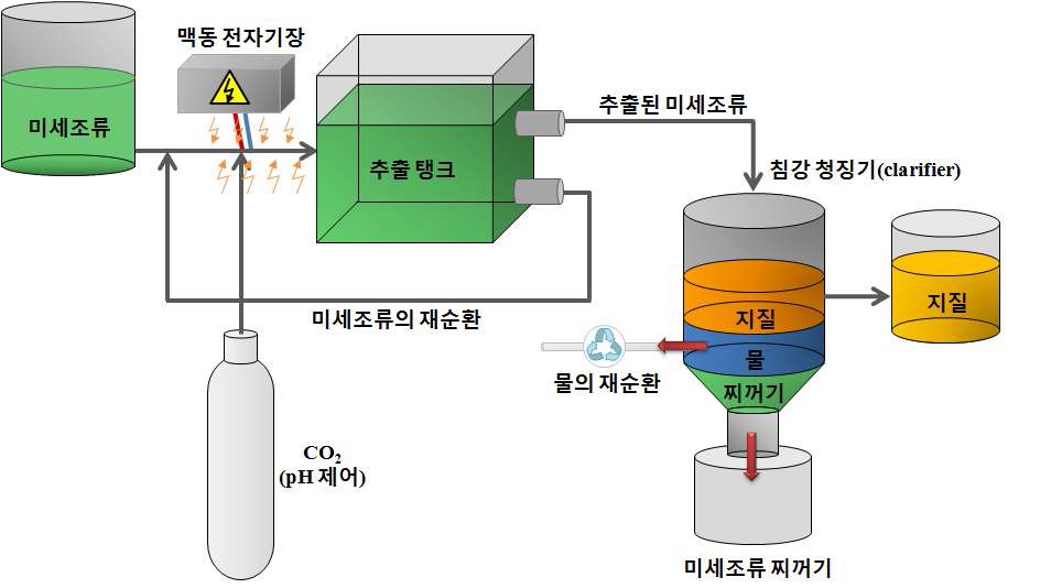 O략ri도ginOil사에서 개발한 미세조류 오일의 단일 추출공정 개략도