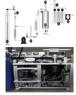 도본 연구를 위해 자체 제작된 lab-scale 초임계 유체 장치의 개략