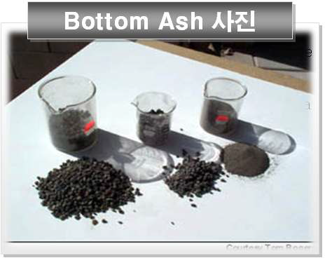 Bottom Ash SEM 사진