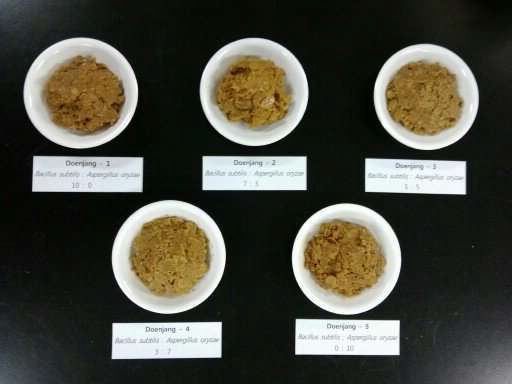 B acillus subtilis 3-B-1과 Asperg illus oryz ae 6-M -1 종균을 이용 하여 제조한 한식된장