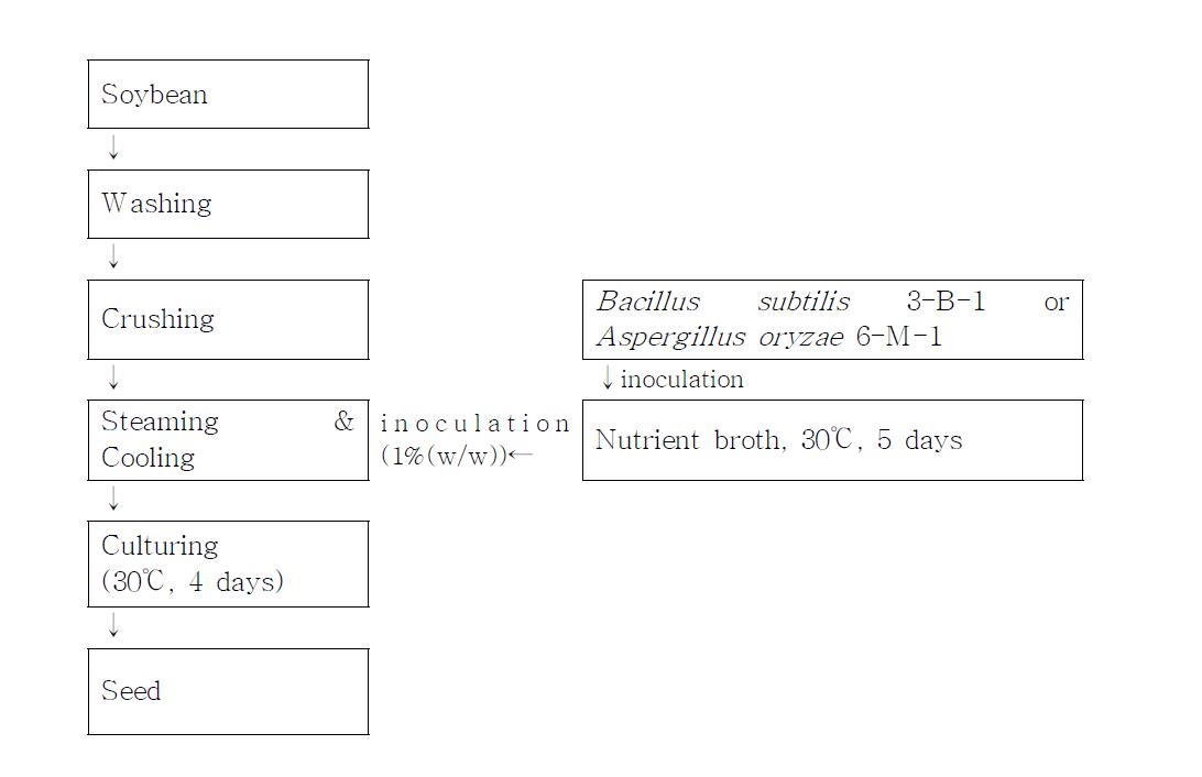 The manufacturing process of seed (Aspergillus oryzae 6-M-1, or Bacillus subtilis 3-B-1) for Korean type Doenjang