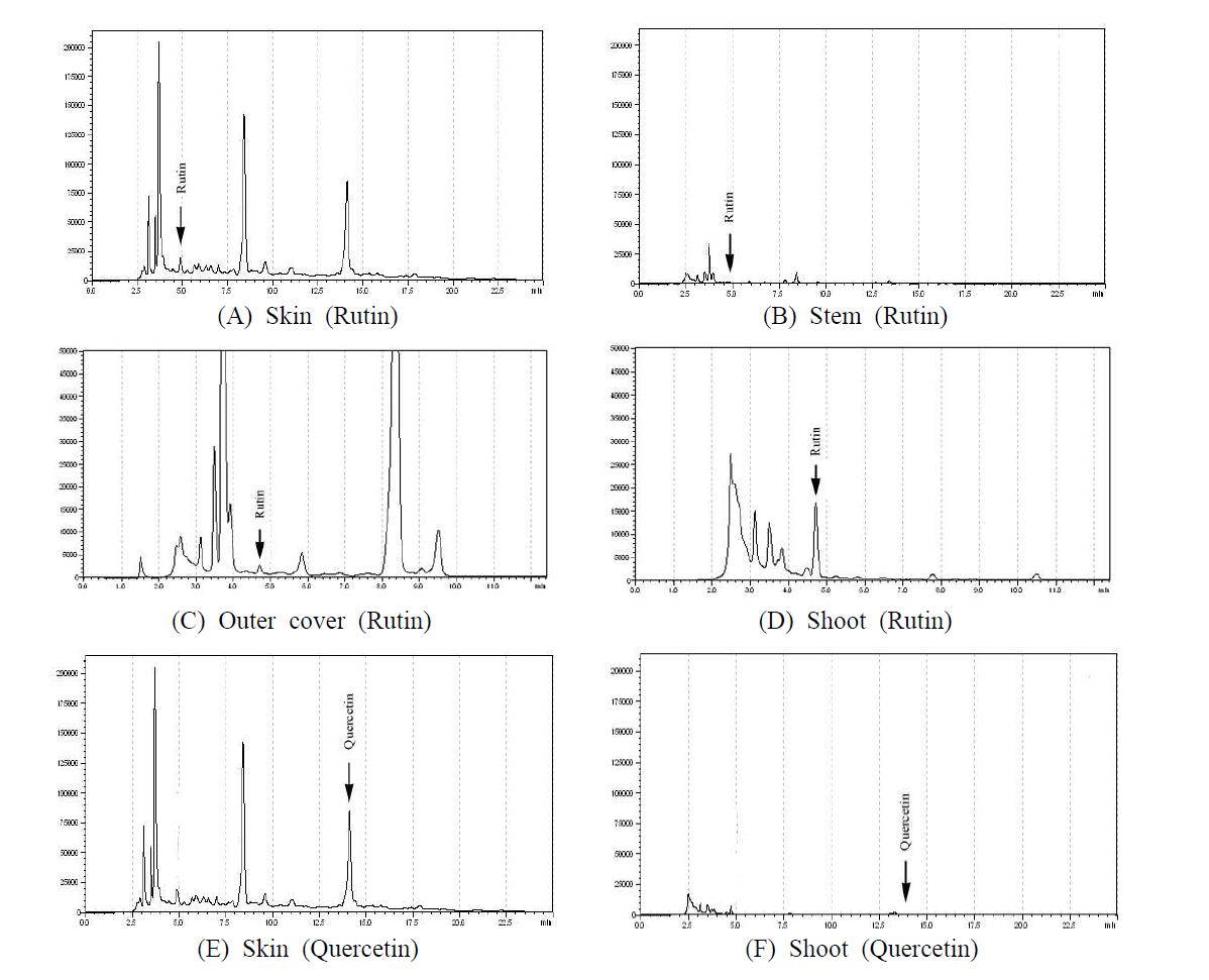 HPLC chromatograms of rutin (A, B, C, D) and quercetin (E, F) in different parts of Alliun cepa L. (A) skin; (B) stemrt; (C) outer cover; (D) shoot; (E) skin; (F) Shoot