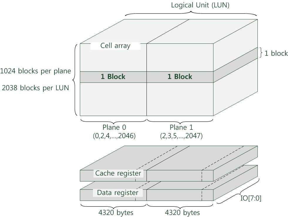 Array Organization