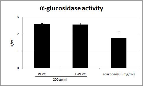 α-glucosidase 활성