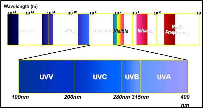 UV 살균 스펙트럼