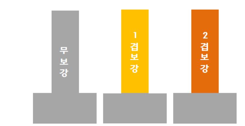 실험계획 모식도