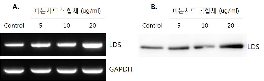 Linoleate diol synthase 발현 효과 (A, mRNA level; B, protein level)