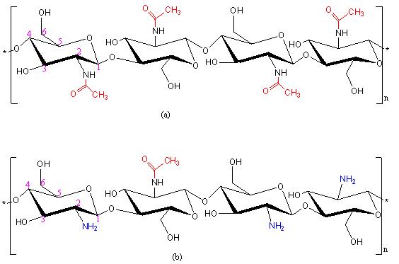 Chemical structures of chitosan (a) and chitosan (b)