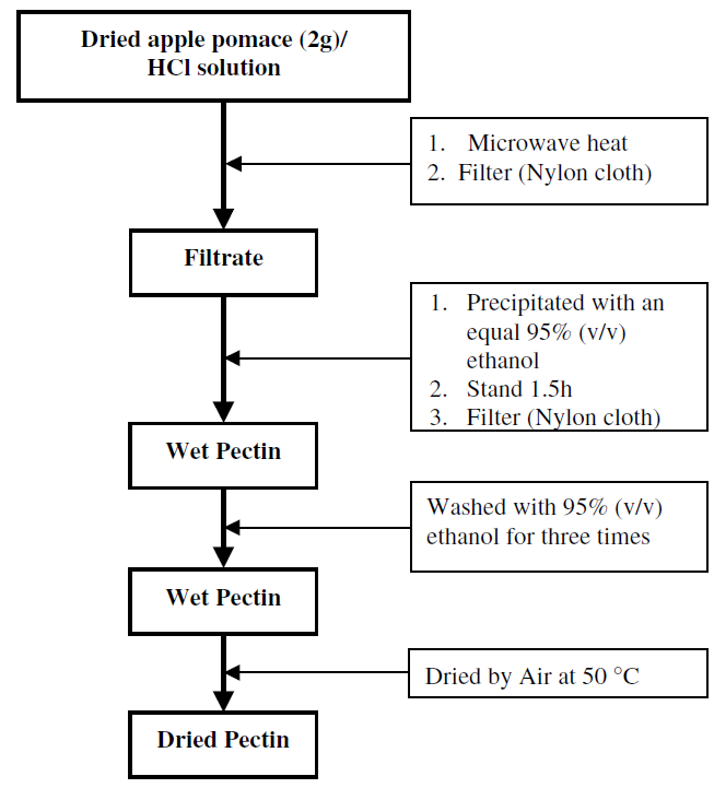 Pectin extraction and isolation from apple