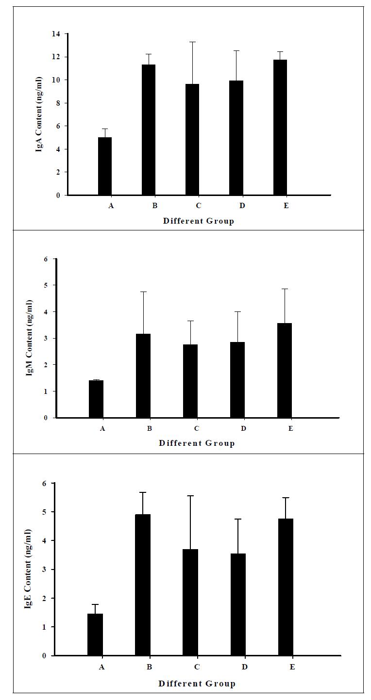 Effect of Prunus mume on the IgA, IgM, IgE production in MLN