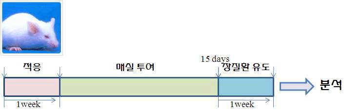 Experimental design