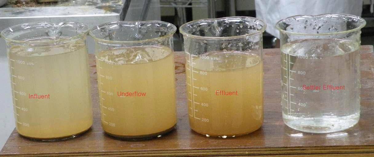 Comparison of sample transparency for each processes.