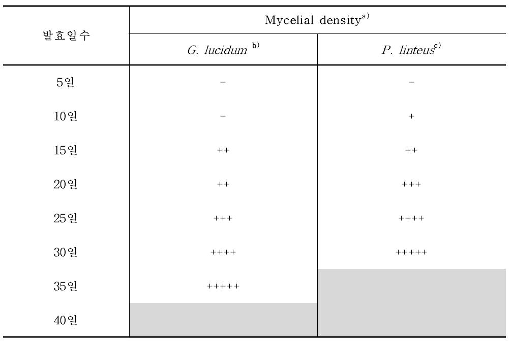 발효일수에 따른 조릿대-버섯균사체 발효물의 균사체밀도