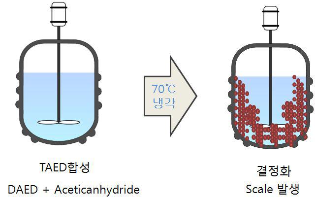 batch 반응기 내부에서 TAED 결정화