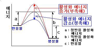 화학반응이 일어나는데 필요한 활성화에너지의 역할