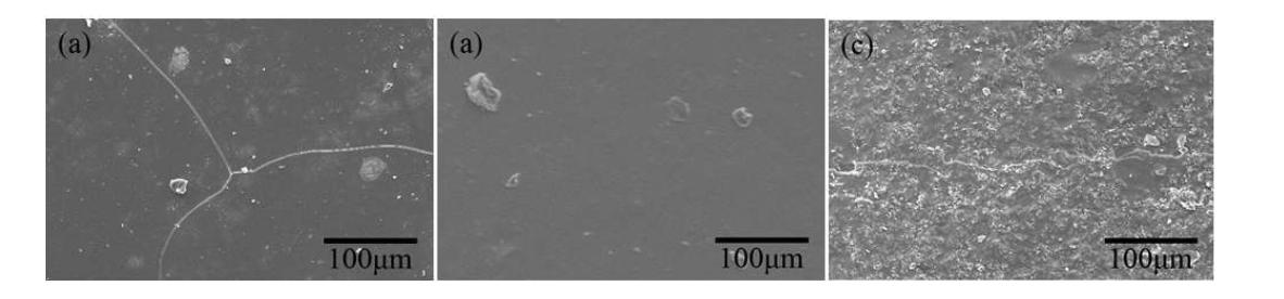 열충격 테스트 후 시편의 표면사진 (소결온도 : 1250 ℃, (a) 1 wt%, (b) 9 wt%, (c) 16 wt% 리튬용액 농도)