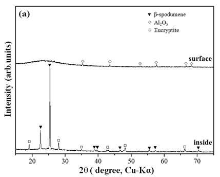 9 wt% 리튬 용액으로 제조된 시편의 1250 ℃ 열처리 후 표면과 내부 결정상 비교