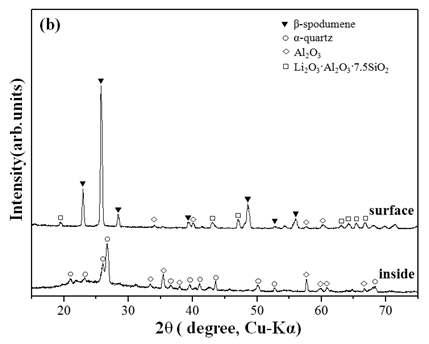 16 wt% 리튬 용액으로 제조된 시편의 1250 ℃ 열처리 후 표면과 내부 결정상 비교