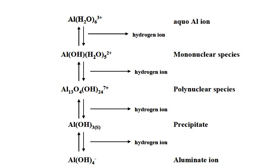 Al 이온의 가수분해 반응.