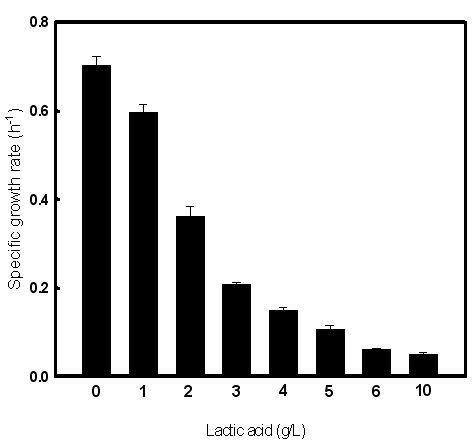 Lactic acid 농도 별 Leuconostoc mesenteroides (1076)의 비성장속도