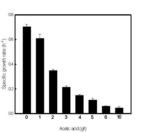 Acetic acid 농도 별 Leuconostoc mesenteroides (1076)의 비성장속도