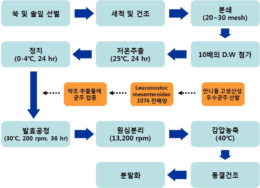 발효 쑥 및 발효 솔잎의 제조 공정도