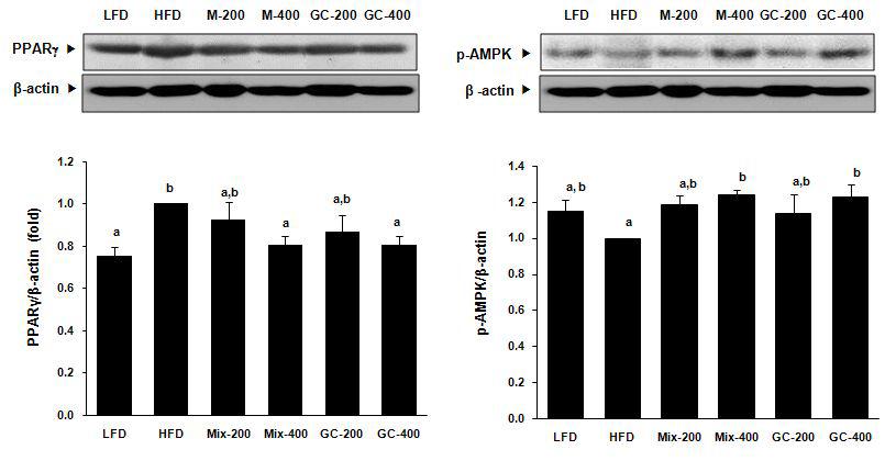 Effect of mixture of EJ and NN extracts and GC on the expression of genes involved in lipid metabolism in the adipose tissue of HFD-fed mice.