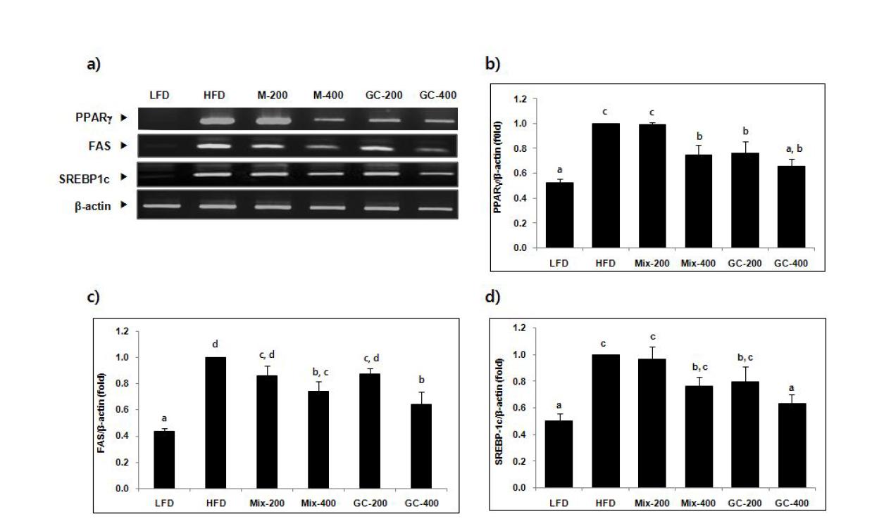 Effect of mixture of EJ and NN extracts and GC on the expression of genes involved in lipogenesis in the adipose tissue in high fat-induced mice.