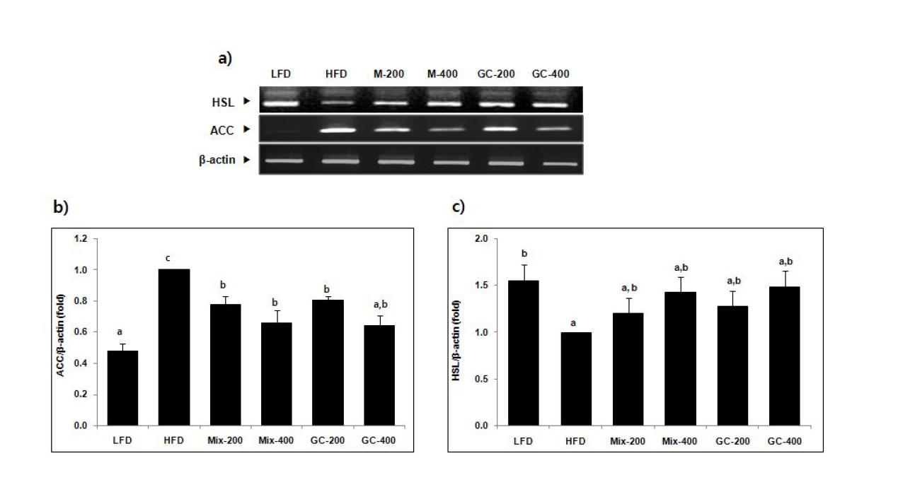 Effect of mixture of EJ and NN extracts and GC on the expression of genes involved in lipolysis in the adipose tissue of HFD-fed mice.