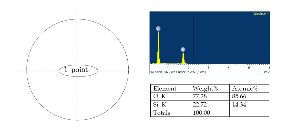 SEM and EDX results(1 point)