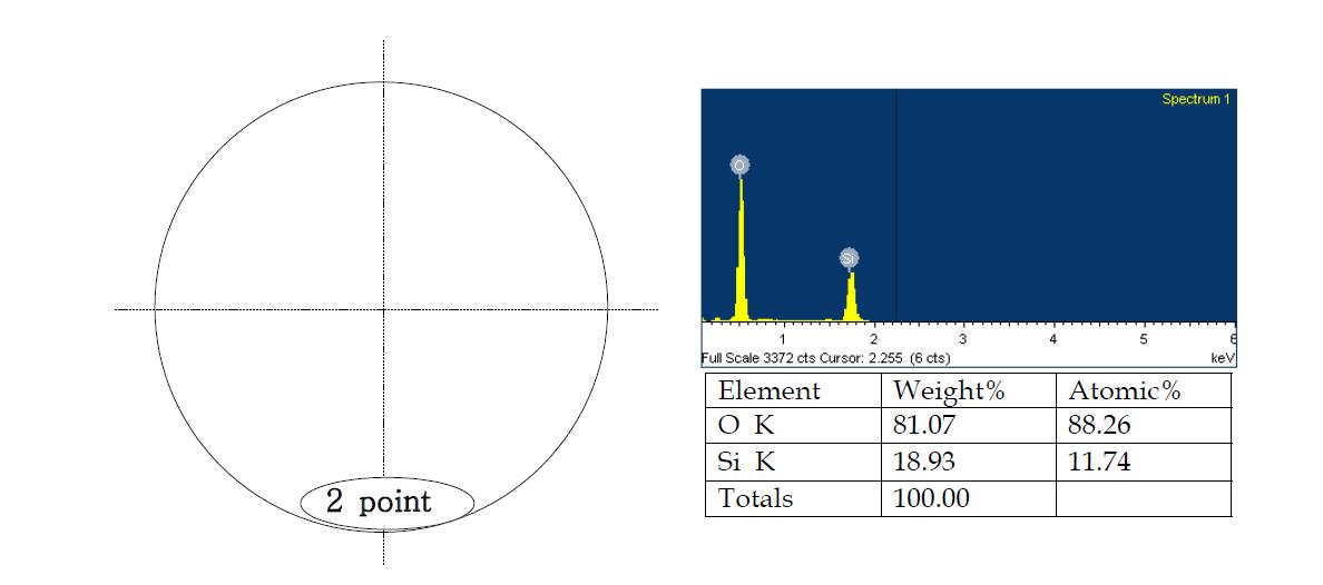 SEM and EDX results(2 point)